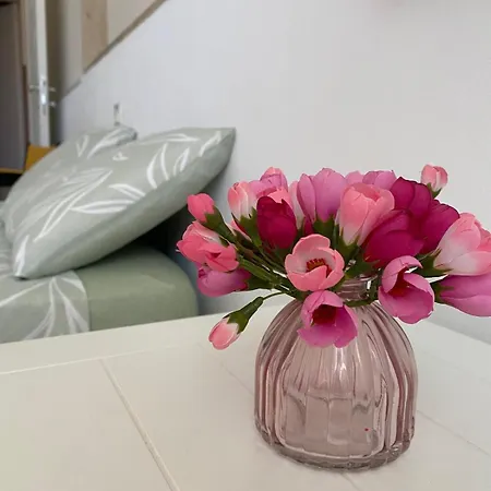 Rio Penzion Valderice